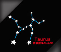 十二星座星星排列图片2