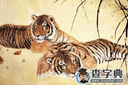 杨清华：丙申猴年属虎的运程1