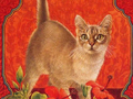 让你联想翩翩的十二星座猫咪图