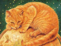 12星座与猫猫
