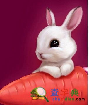 卯兔在爱情里的雷区1