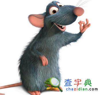 生肖鼠的征婚启示1