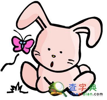 生肖兔的择偶标准1