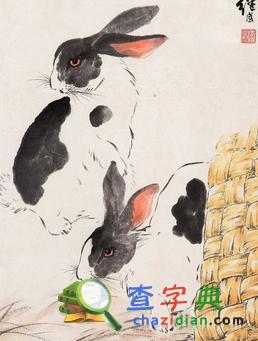生肖动物百科：兔1