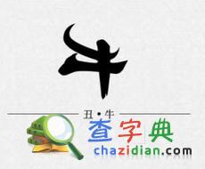 属牛的办公桌风水吉位1