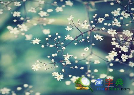 感情命运双丰收生肖龙1