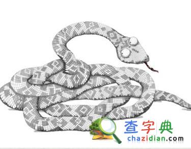 光棍节生肖蛇脱光攻略1