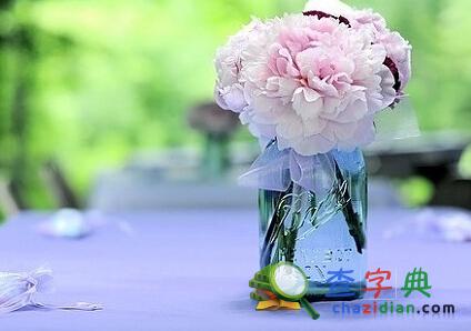 肖蛇的年末财运提点1