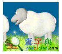 生肖羊怎样增加爱情运1