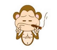 迷倒生肖猴的秘诀1