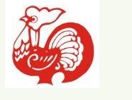 属鸡之人最好的出生时辰1