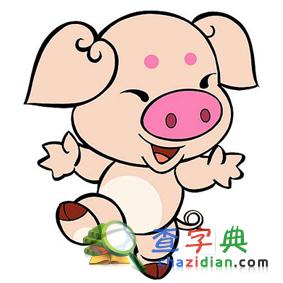 生肖动物百科：猪1