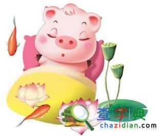 生肖猪不婚的原因1