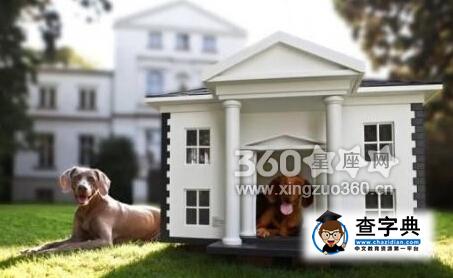 宠物小屋不宜安置的地方1