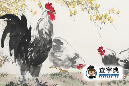 十二生肖出生时间：属鸡的什么时辰出生最好？1