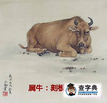 属牛舍弃什么可海阔天空？1