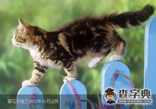 猫石对话之2013年10月运势4