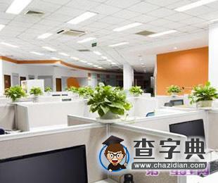 办公室植物摆放与风水的关系1