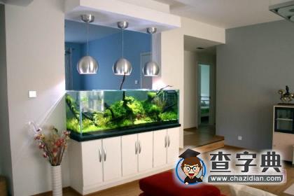 家庭养鱼风水知识大全1