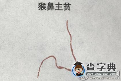 猴鼻面相的性格特征1
