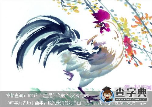 命格查询：1957年出生是什么命？(火鸡之命)1
