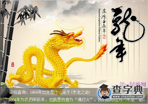 命格查询：1964年出生是什么命？(木龙之命)1
