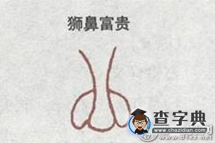 鼻子看相：狮子鼻长什么样1