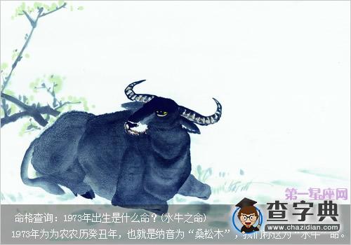 命格查询：1973年出生是什么命？(水牛之命)1