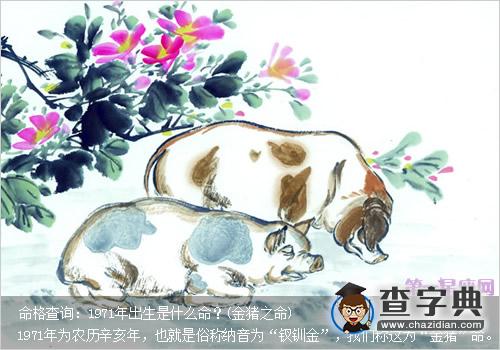 命格查询：1971年出生是什么命？(金猪之命)1