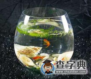 郑博士：哪12种东西不能送人？1