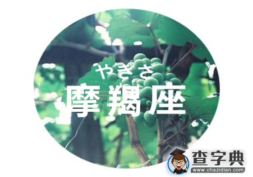 看12星座男如何求婚11