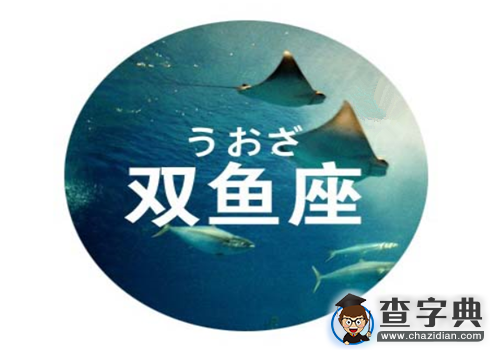 看12星座男如何求婚13