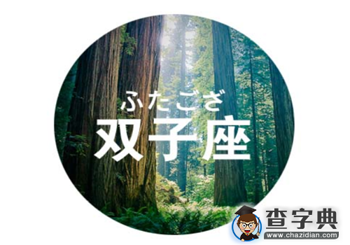 看12星座男如何求婚4