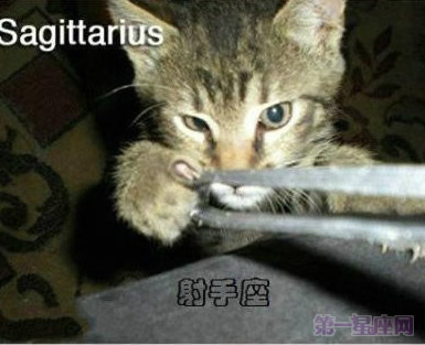 十二星座喵星人造型图片9