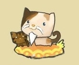十二星座可爱小猫咪图片10