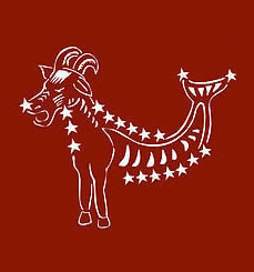 十二星座红旗式图片10