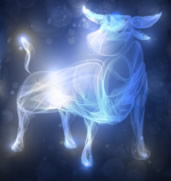 十二星座魔幻炫光图片2