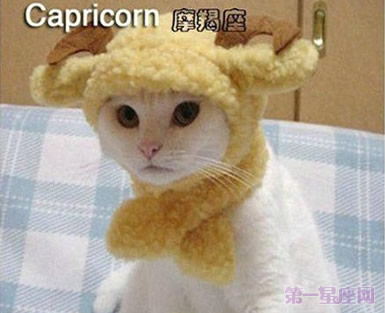 十二星座喵星人造型图片10