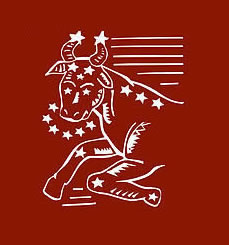十二星座红旗式图片2
