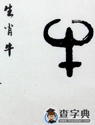 爱情中生肖牛的风格1