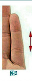 从小拇指指节长度看性格3