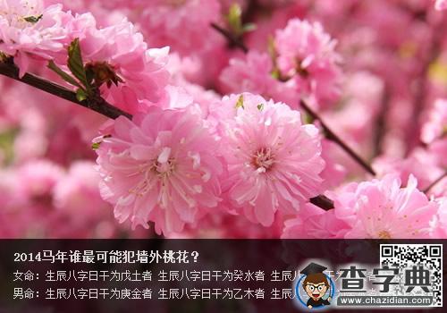 2014马年谁最有可能犯墙外桃花？1