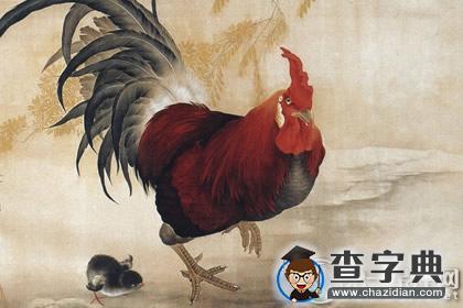 杨清华：丙申猴年属鸡的运程1