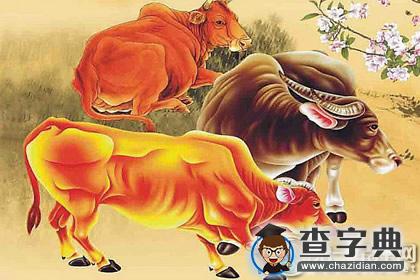围城内外都要看！2016年属牛的婚姻状况1