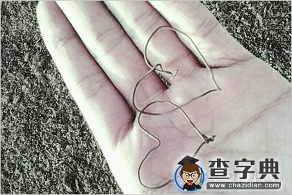 最精准的断掌的女人手相算命图解3