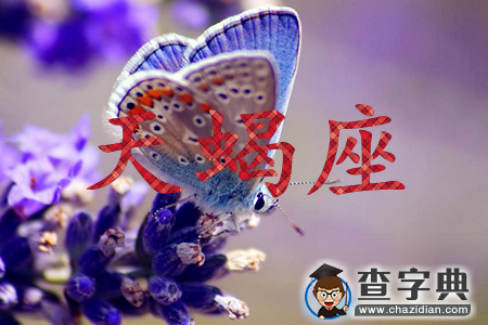 12星座女面对家暴会作何反应9
