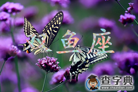 12星座女面对家暴会作何反应13