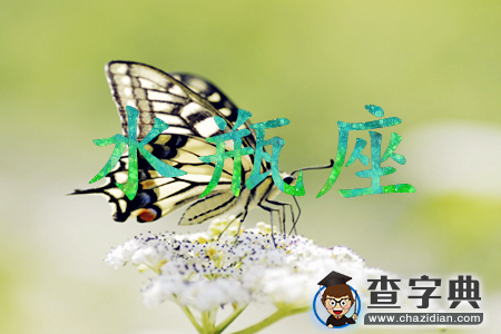12星座女面对家暴会作何反应12