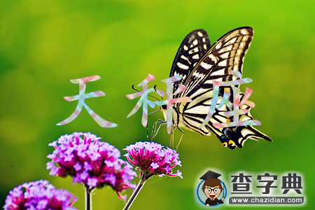 12星座女面对家暴会作何反应8