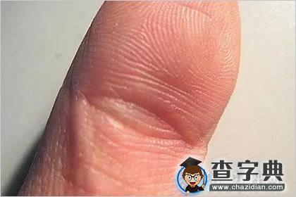 什么是凤眼纹？预示一生衣食无忧的手纹 1